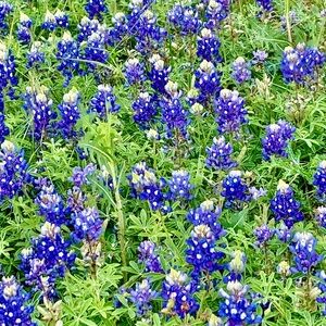 It’s CLOSET CLEAR OUT DAY THURSDAY